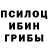 Псилоцибиновые грибы MAGIC MUSHROOMS Moldir Mergenbai